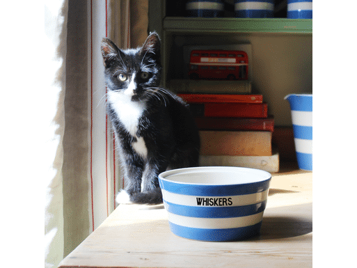 Blue new arrivals cat bowl